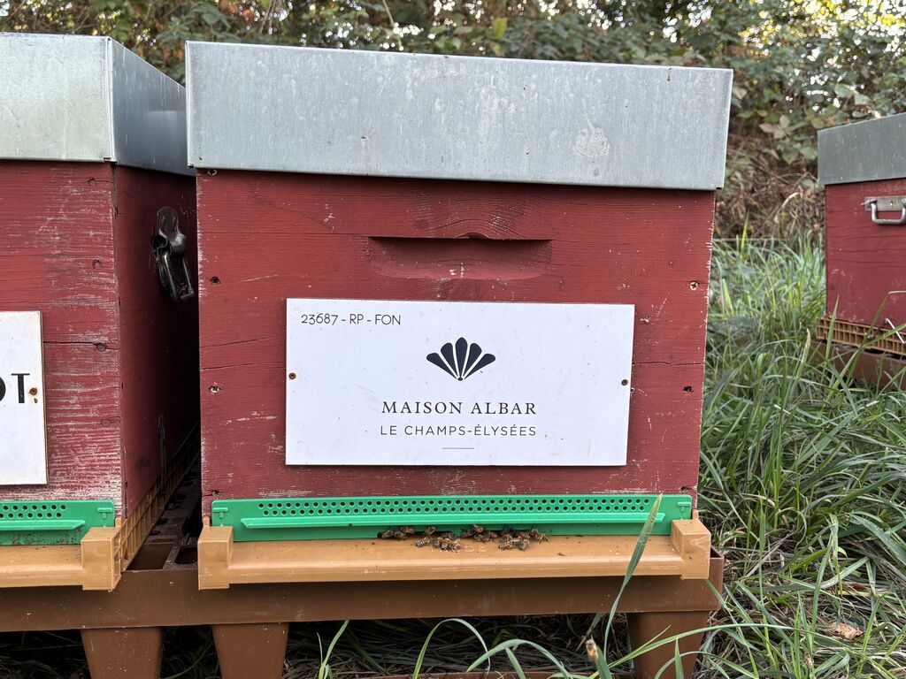La ruche Maison albar le champs-Élysées
