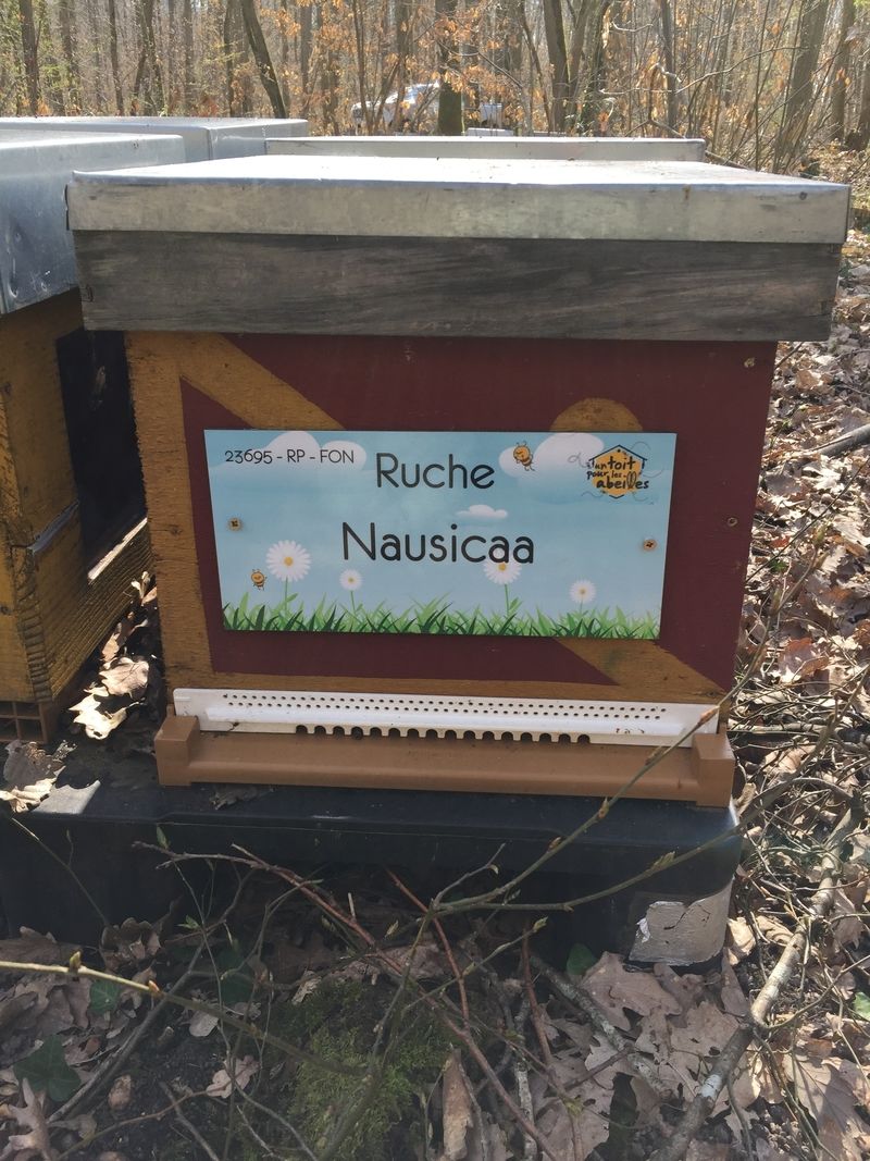 La ruche Nausicaa