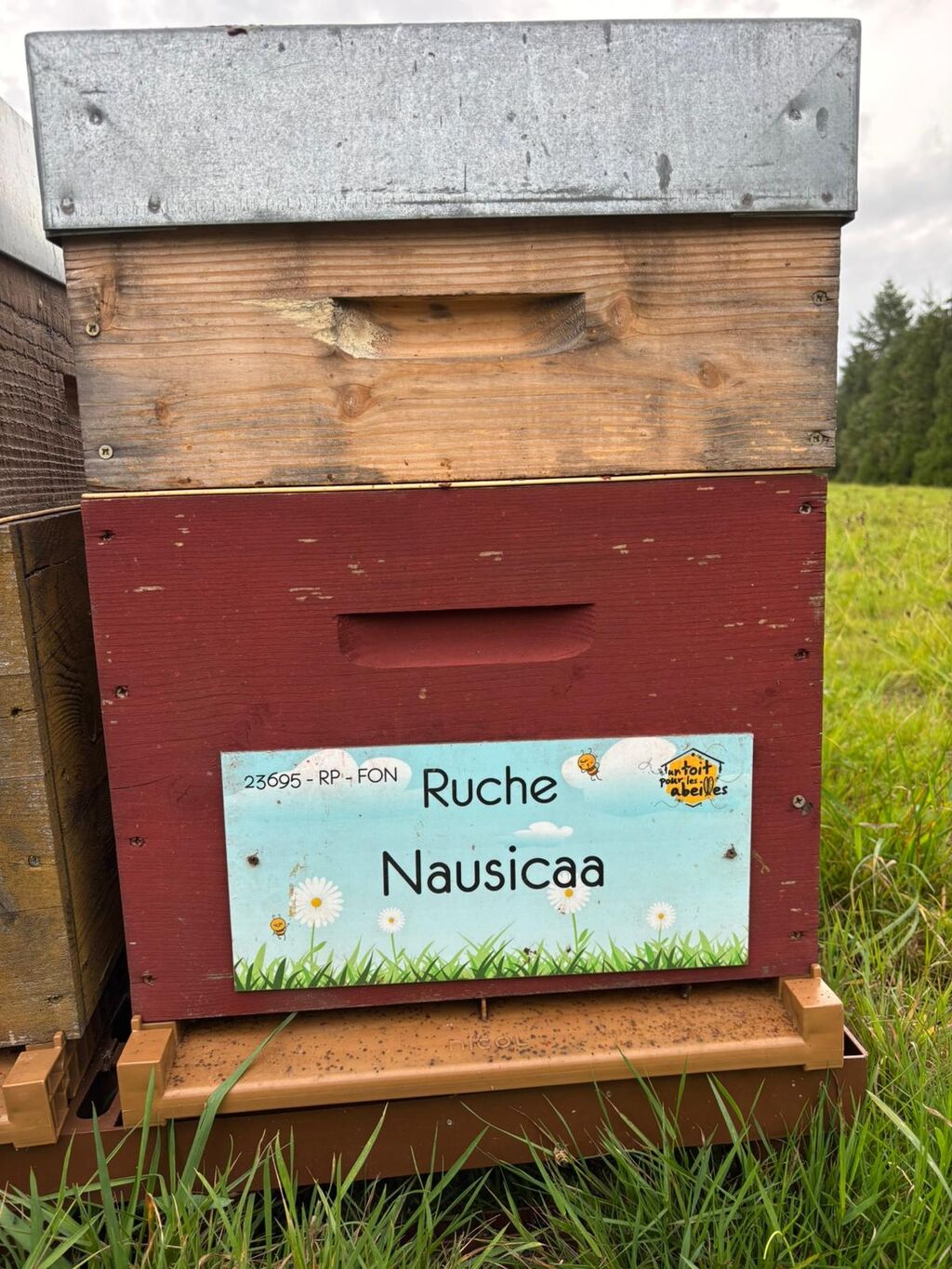 La ruche Nausicaa