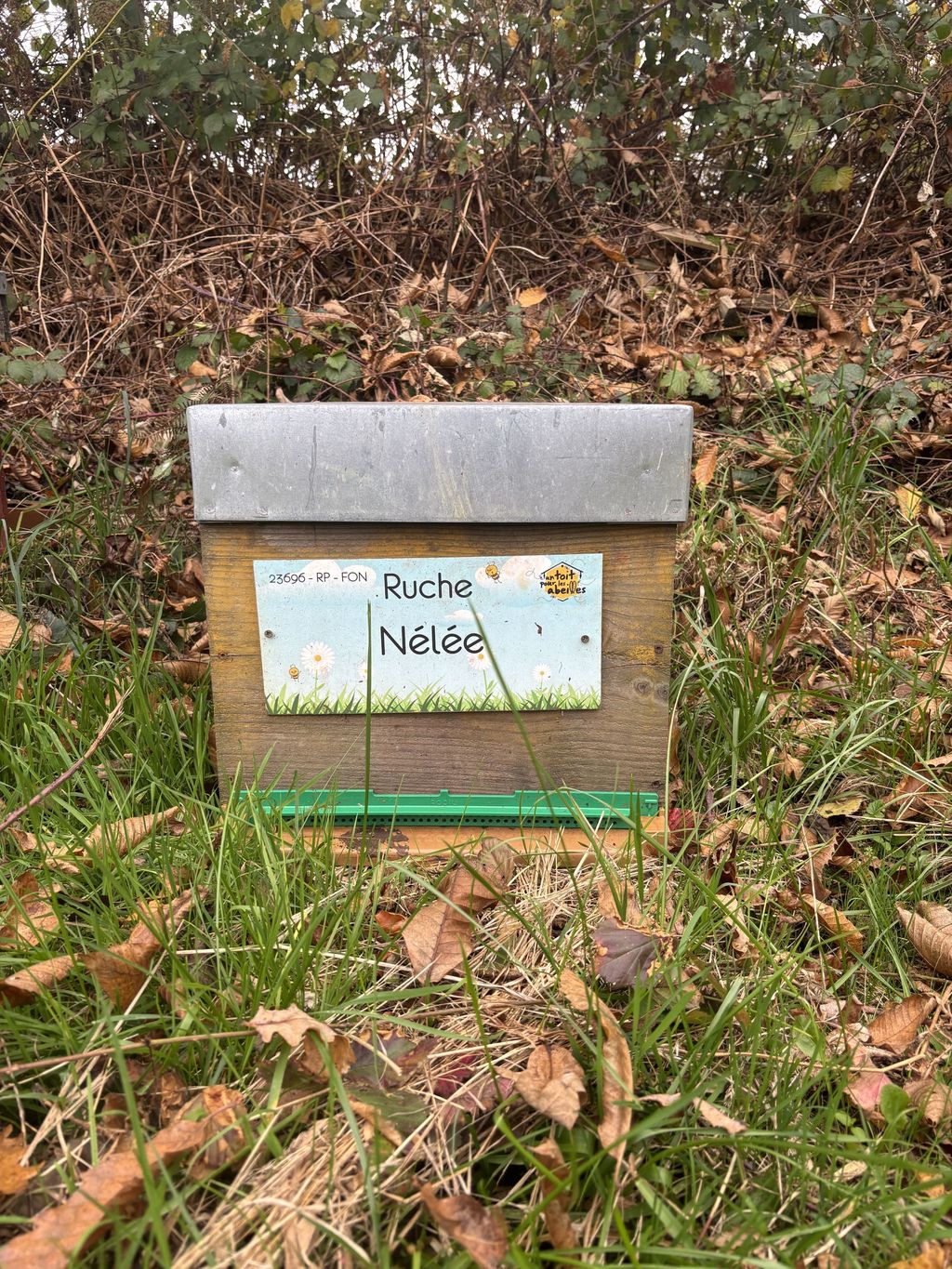 La ruche Nélée