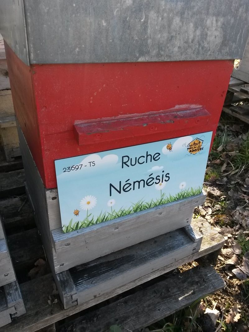 La ruche Némésis