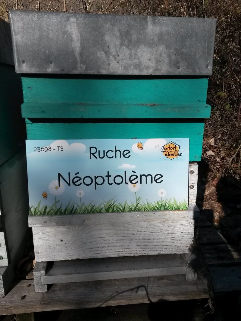 La ruche Néoptolème