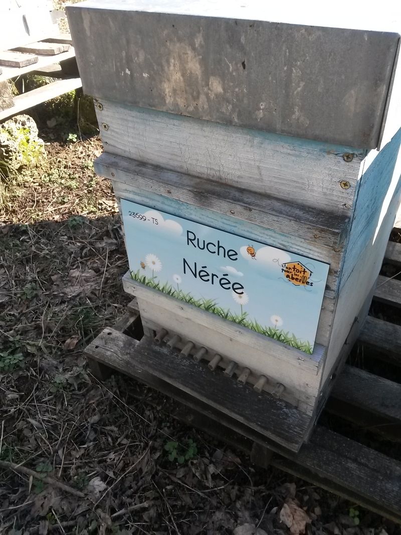 La ruche