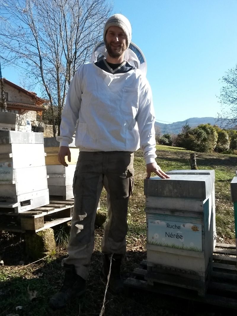 La ruche Nérée