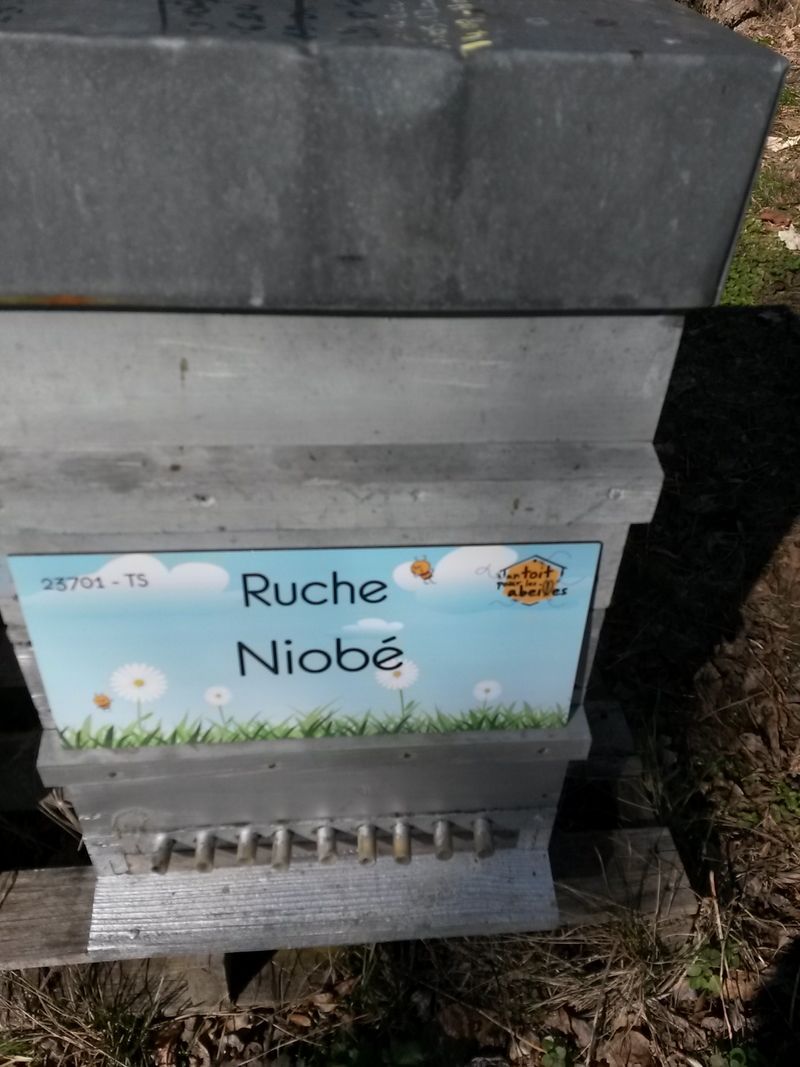 La ruche