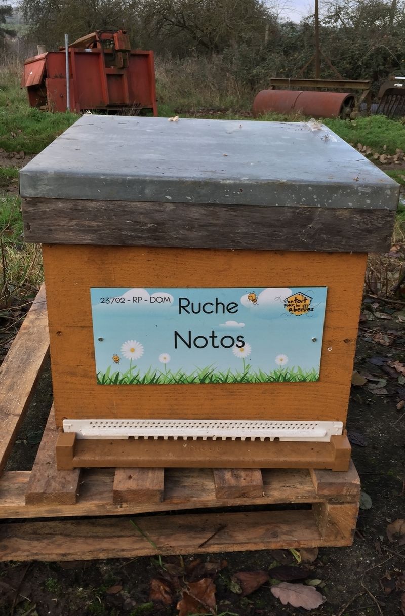 La ruche