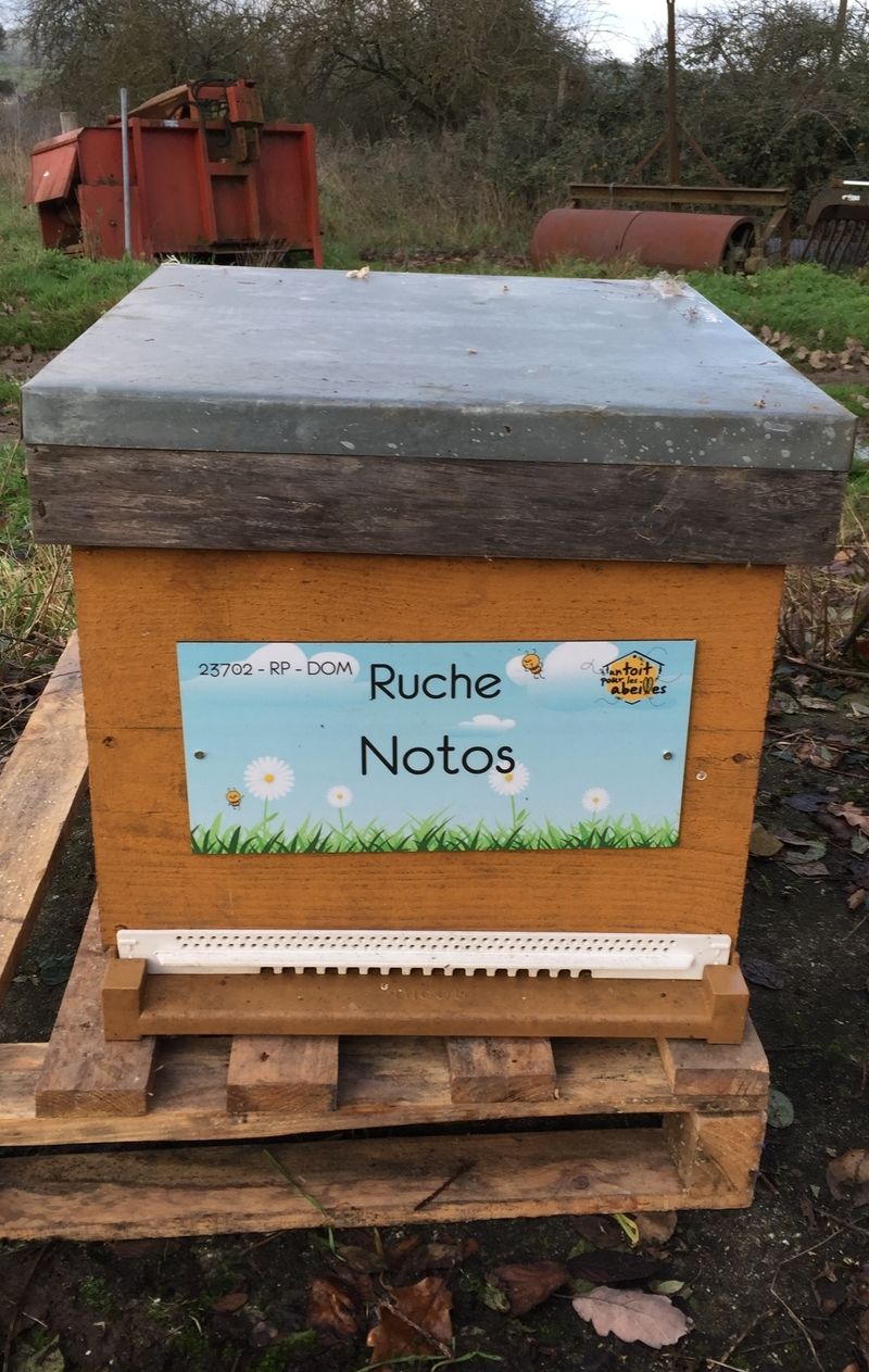 La ruche Notos