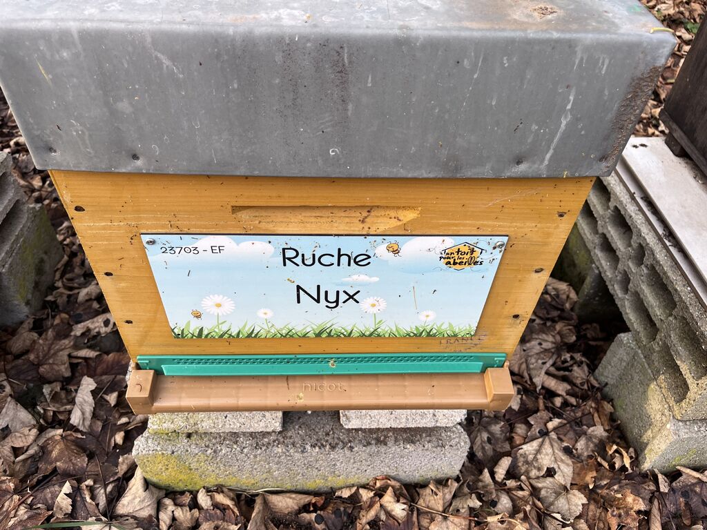 La ruche Nyx