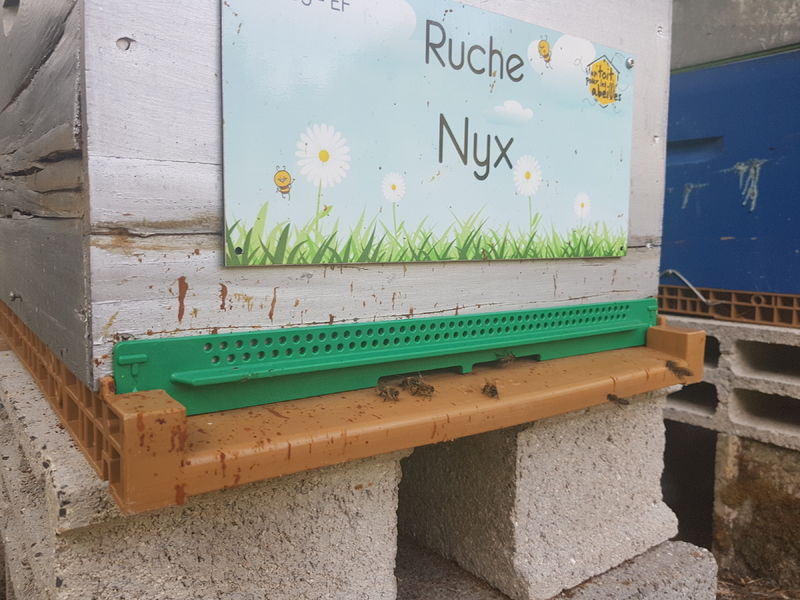 La ruche Nyx