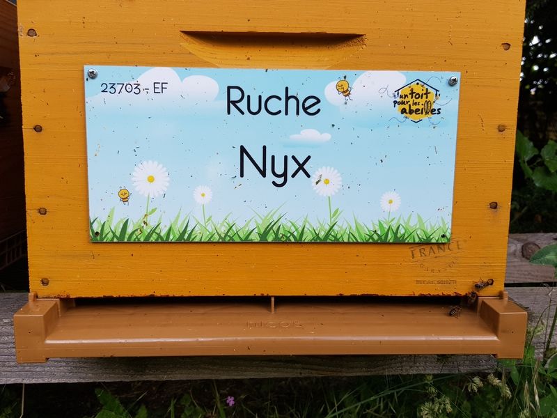 La ruche Nyx
