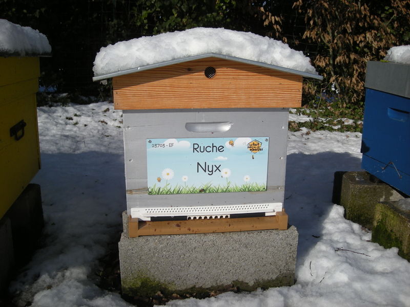 La ruche Nyx