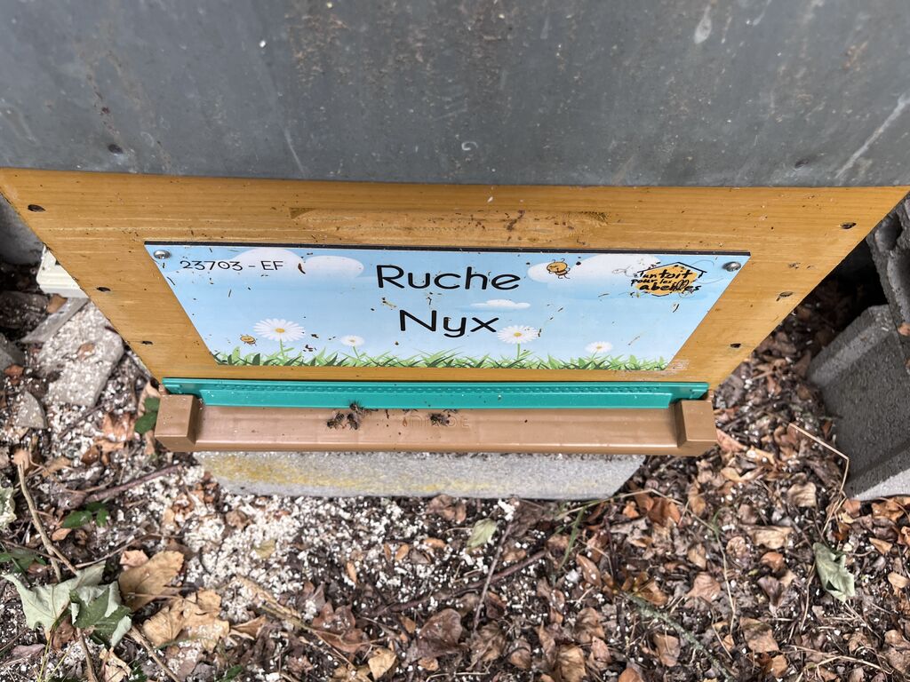 La ruche Nyx