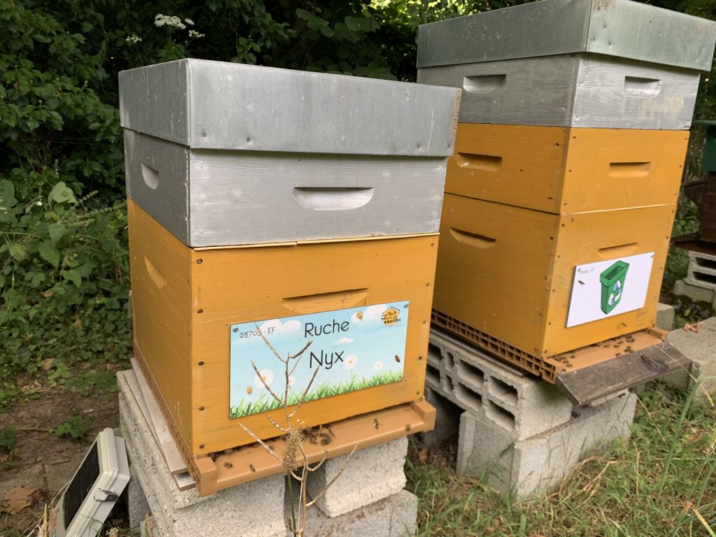 La ruche Nyx