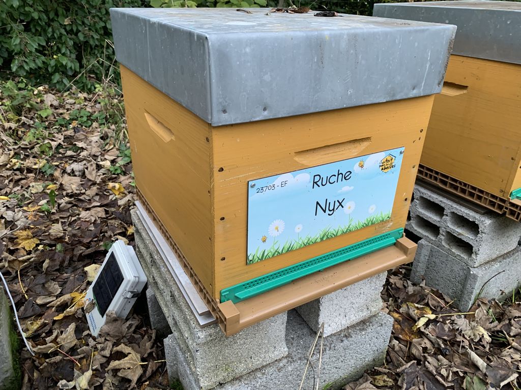 La ruche Nyx