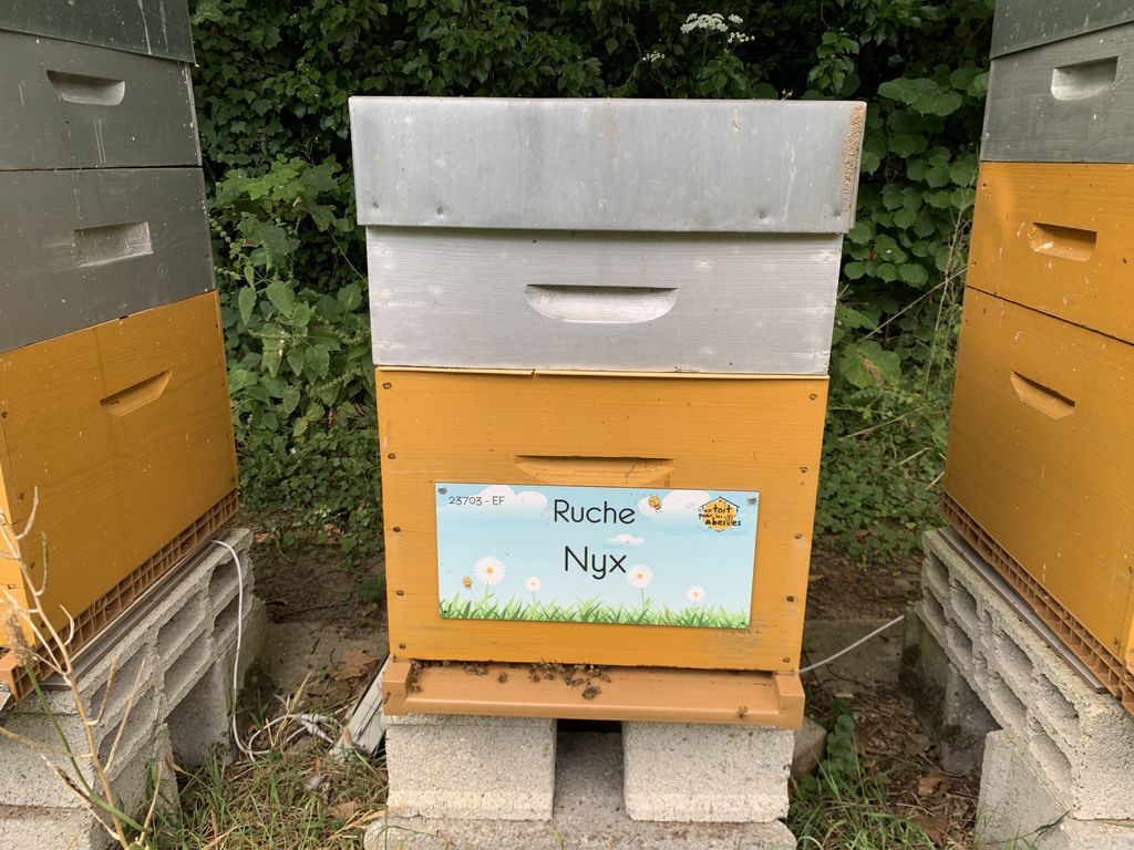 La ruche Nyx