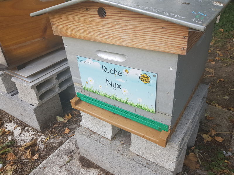 La ruche Nyx
