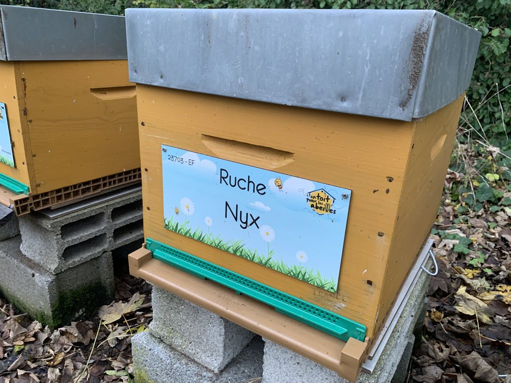 La ruche Nyx