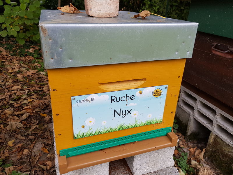 La ruche Nyx