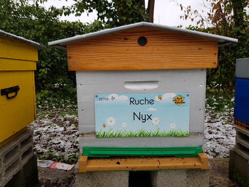 La ruche Nyx