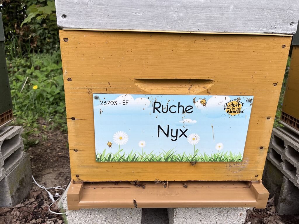 La ruche Nyx