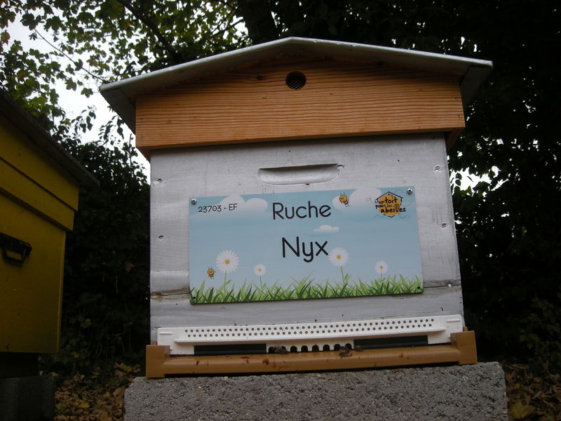 La ruche Nyx