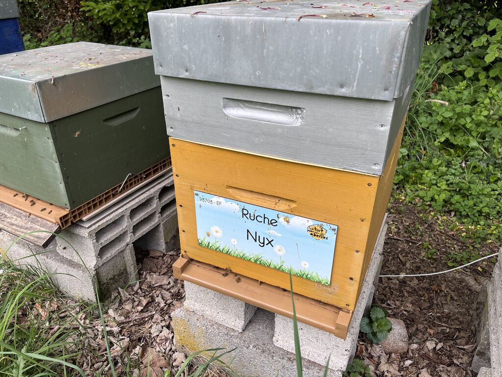 La ruche Nyx