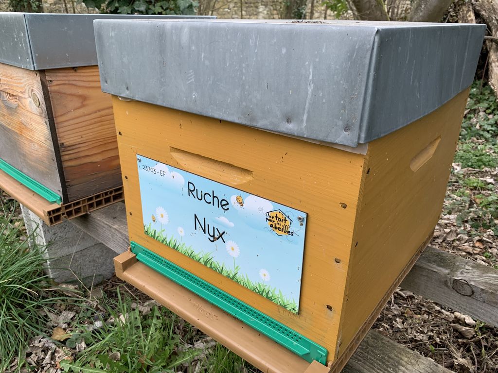 La ruche Nyx