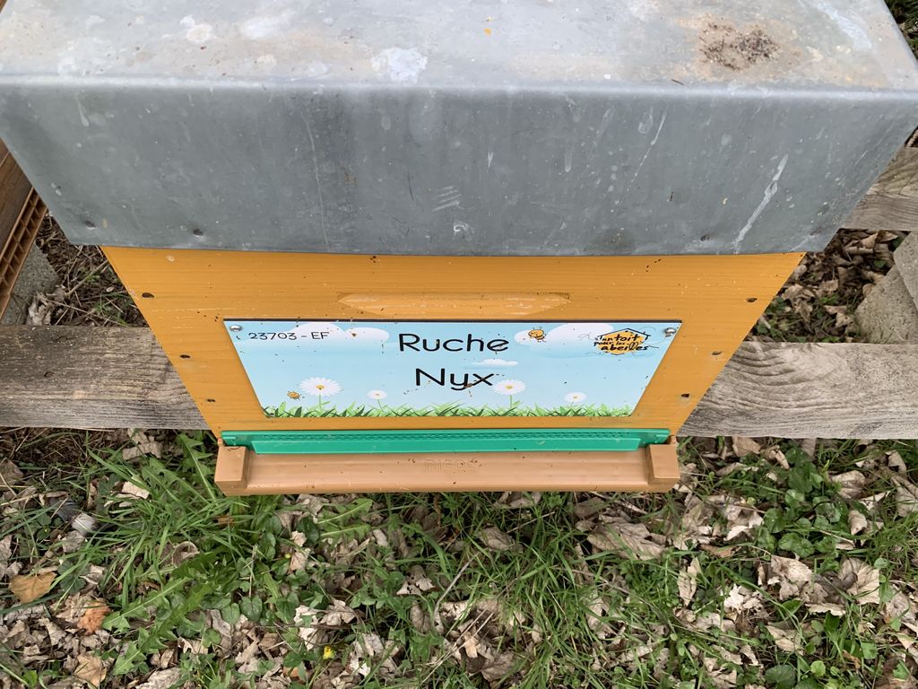 La ruche Nyx