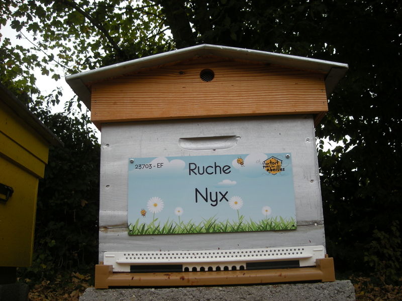 La ruche Nyx