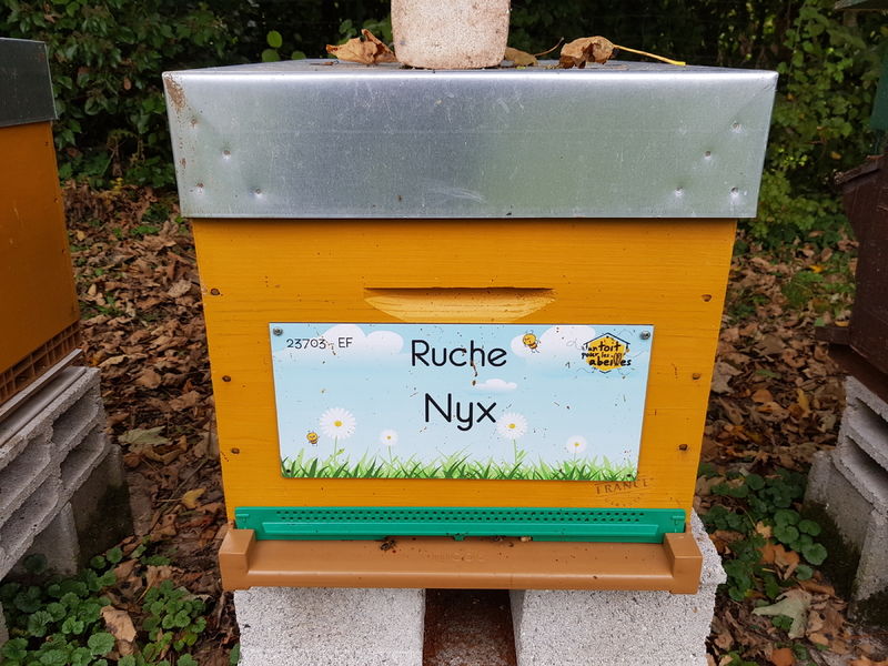 La ruche Nyx
