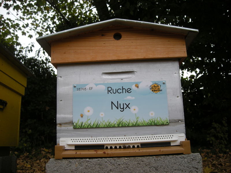 La ruche Nyx