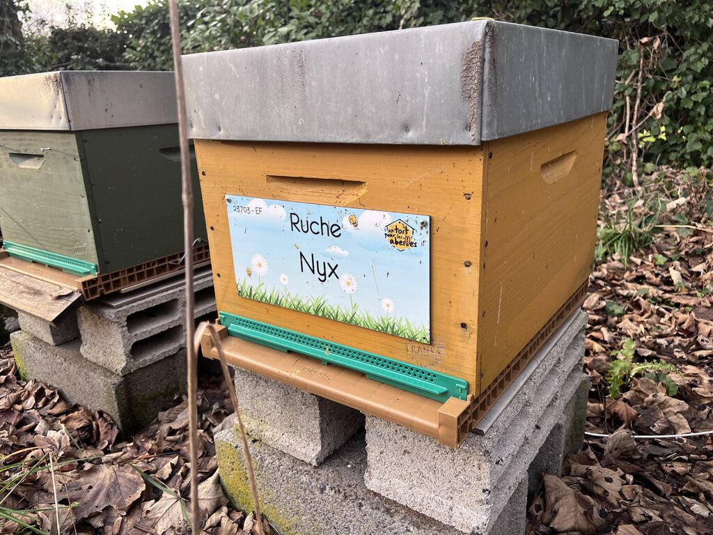 La ruche Nyx