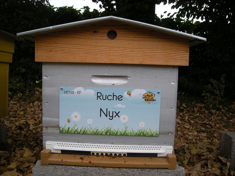 La ruche Nyx