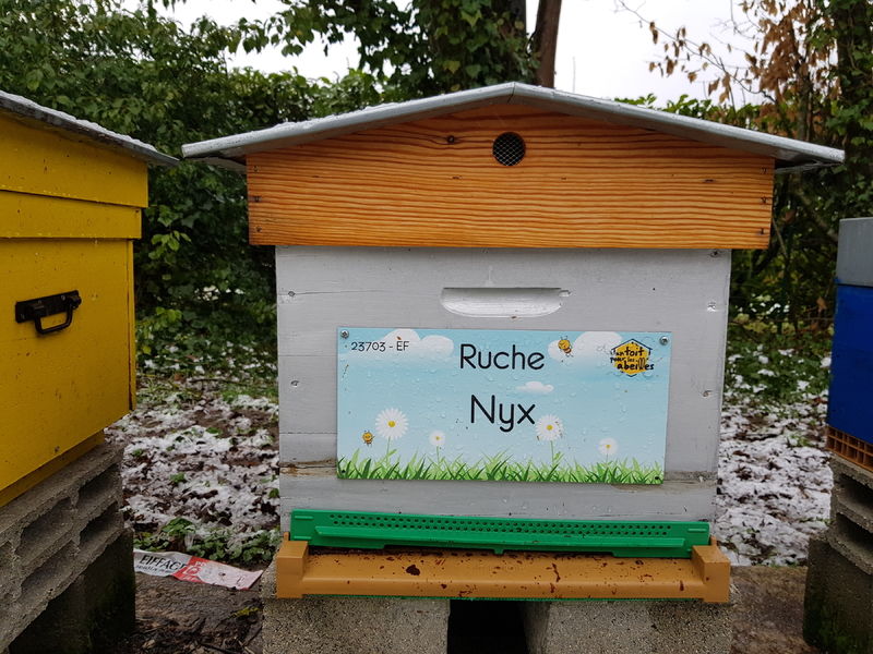 La ruche Nyx