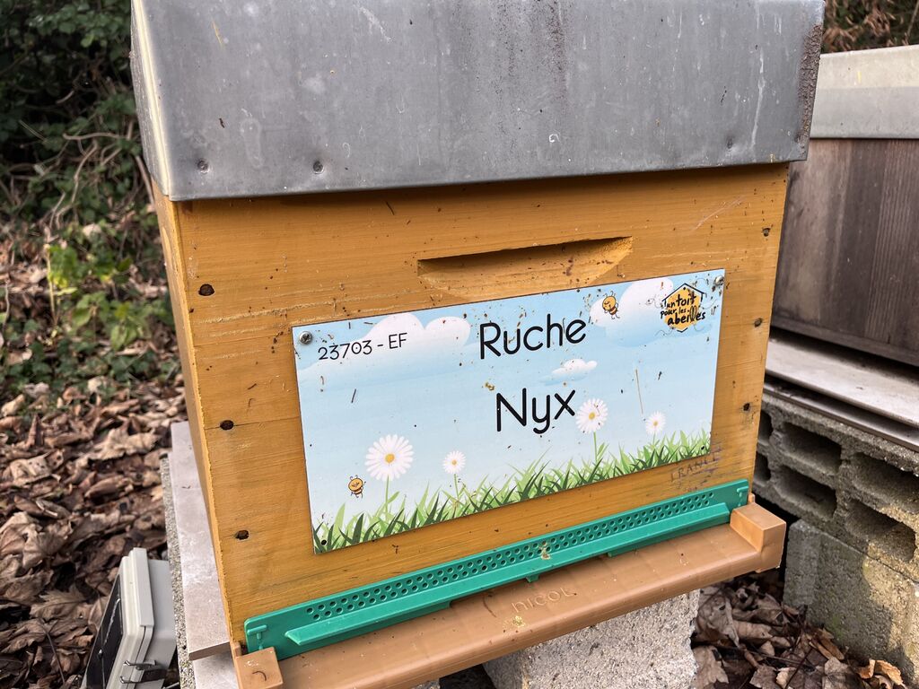 La ruche Nyx
