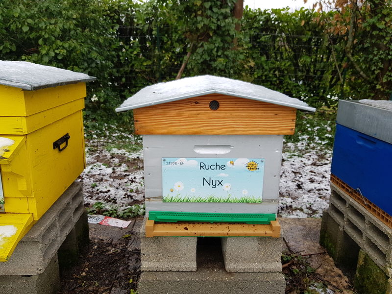 La ruche Nyx