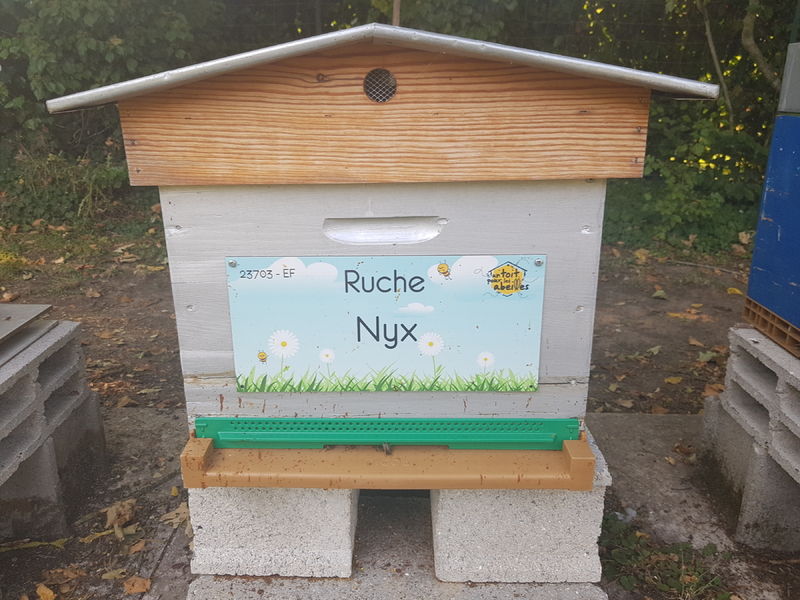 La ruche Nyx