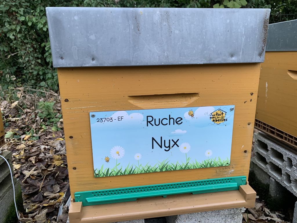 La ruche Nyx