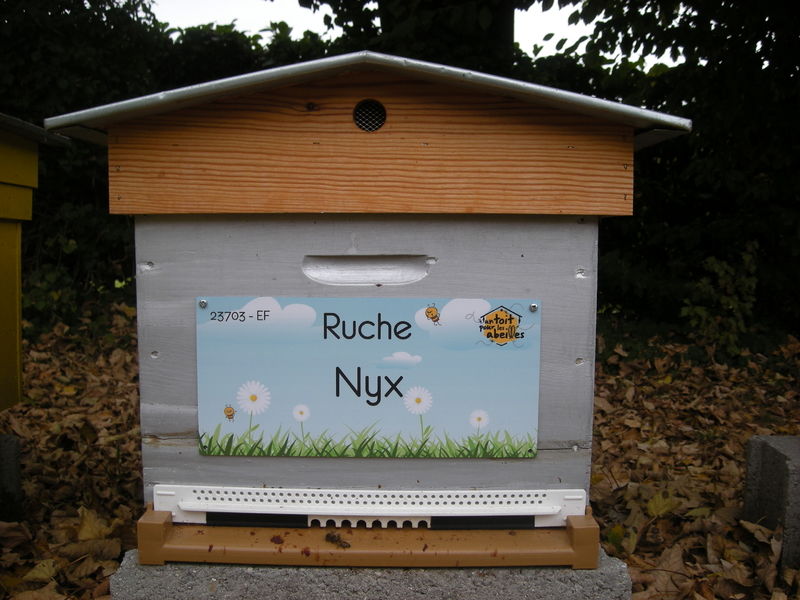 La ruche Nyx