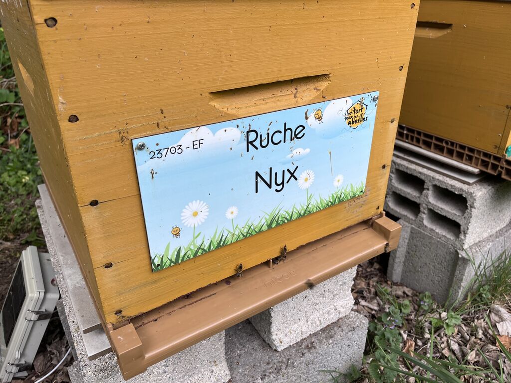 La ruche Nyx
