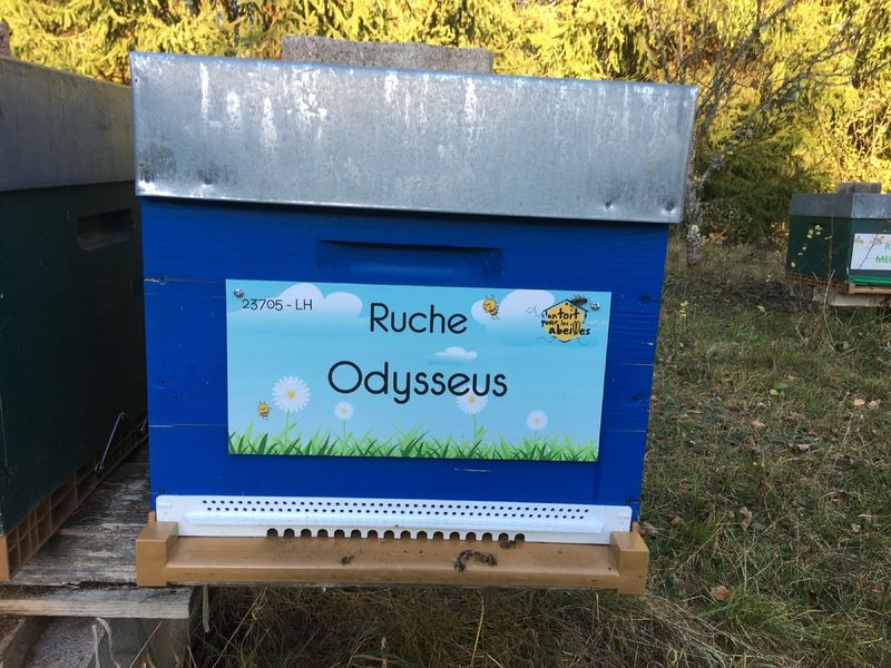 La ruche