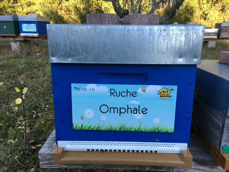 La ruche