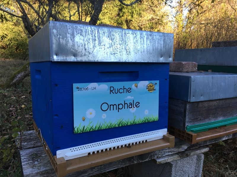 La ruche Omphale
