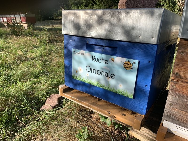 La ruche Omphale