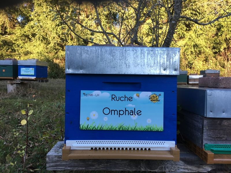 La ruche Omphale