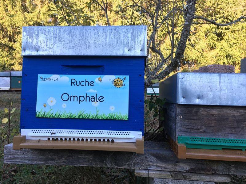 La ruche Omphale