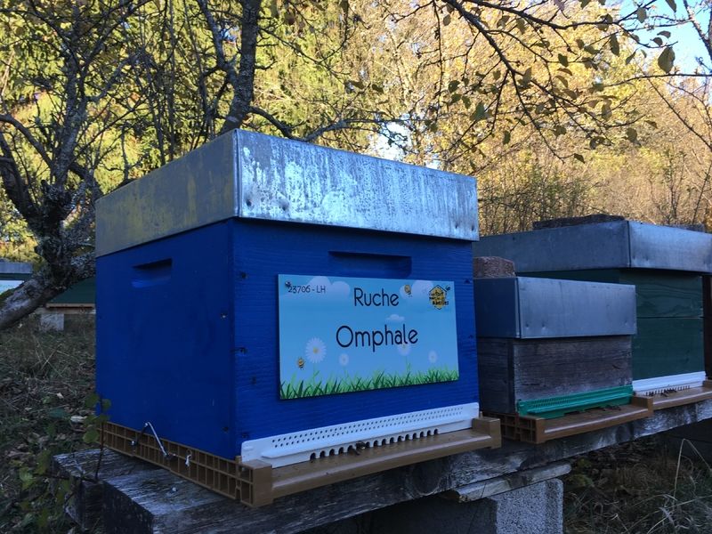 La ruche Omphale