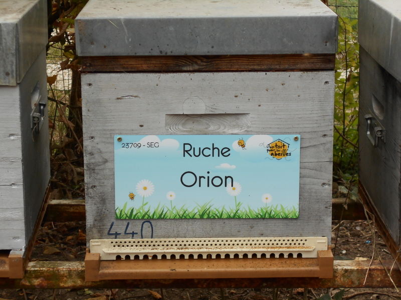 La ruche
