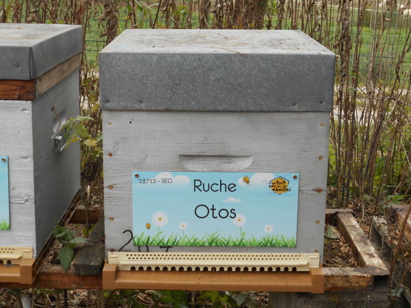 La ruche