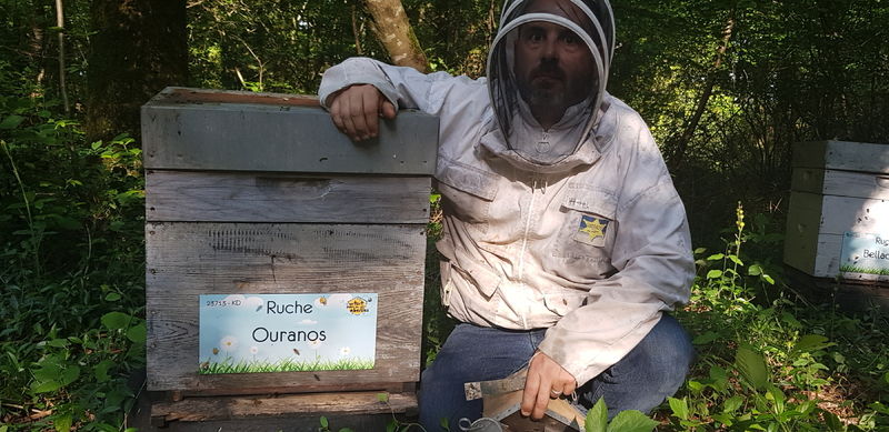 La ruche Ouranos
